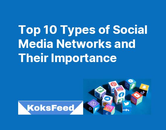 Social Media Networks