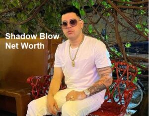 Shadow Blow Net Worth