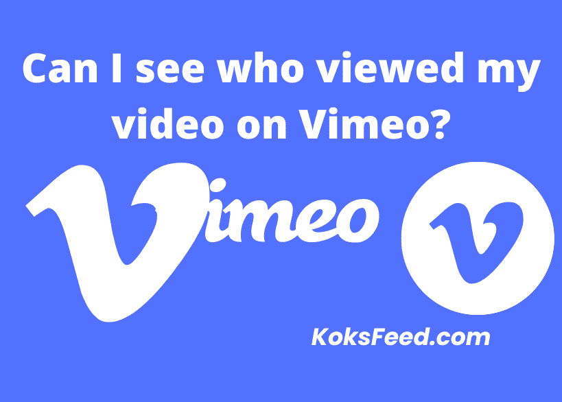 Can I see who viewed my video on Vimeo?