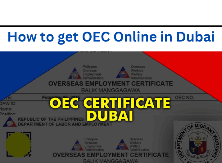 How to get OEC Online in Dubai